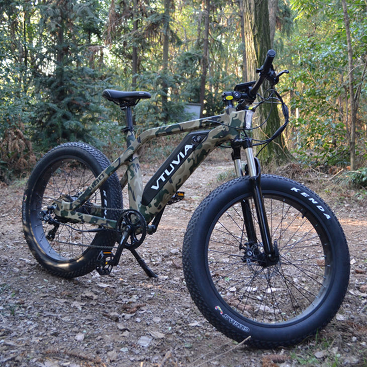 Vtuvia SN100 Fat Tire eBike