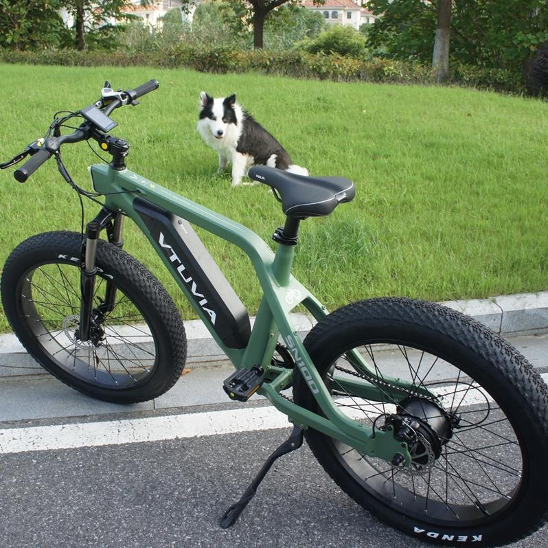 vtuvia sn100 fat tire ebike green